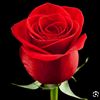 userhiyam5