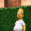 noambmed