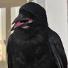 puttissigi