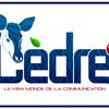 CEDRE TV OFFICIEL