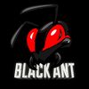 blackants.05