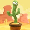 Finn The Talking Cactus