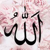 bentoujda48
