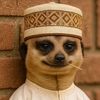 sabiriinabdull