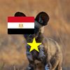 egafrican_wildog