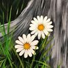 prairiedaisies