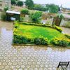alhassan2152