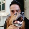 naugthydog25