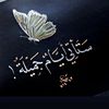 user819601290884