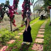 yjulia13_
