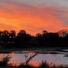 sunnysunset101