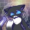 kittysoftpaws_offical