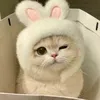 diemmy_567828_