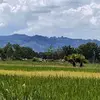 kyawthuwinn953