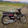 dafasukamaincseries