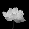 hieu_080204