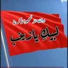 user4086319973