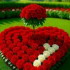 user1405225888812