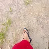 novilpng