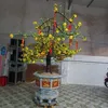 thanh.ngoc5359