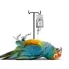 florence_houfle