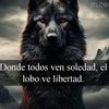 beto26191
