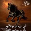 dy2dsfmaraoy