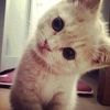 getreadysleepy
