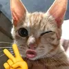 lummemay2