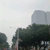 anggurkupu011