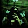 hafsha_sheikh_908