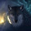 wolfhundmax