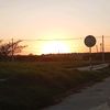 alex_xnder.08