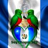 502orgullochapin