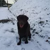 nearadieuse