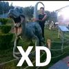 3lp3ndej012938202