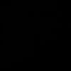 anegro73