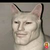 goku123zjgshsksjsjzj