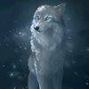 midnightwinterwolf