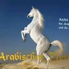 user1541725744481