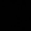 rr_gv