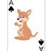 wildcardjoey