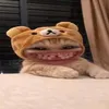 nocucbo2