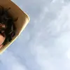 brandonsanchez2884