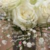 nawal.nasser