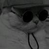 www.vinzz.com
