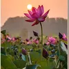 hiengiadung97