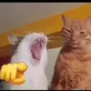 usercmu5c90yyn