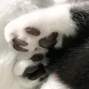uni_nura