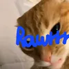 uwu_luvyou